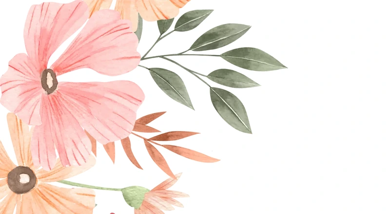 Close-up of the Apricot artwork — apricot painted in peach